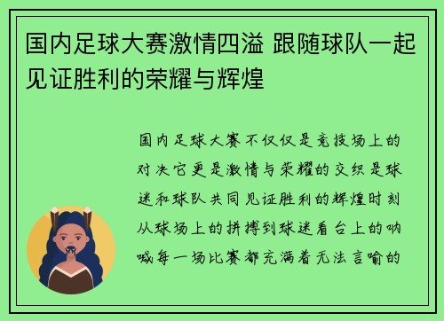 国内足球大赛激情四溢 跟随球队一起见证胜利的荣耀与辉煌